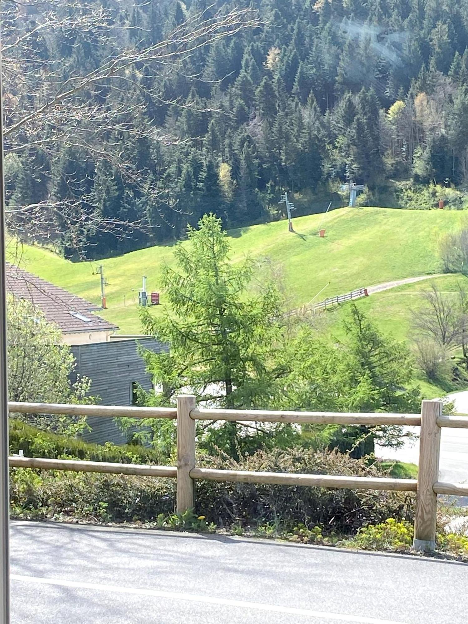 Apartamento Aux Pieds Des Pistes 4/6 Personnes Gérardmer Exterior foto